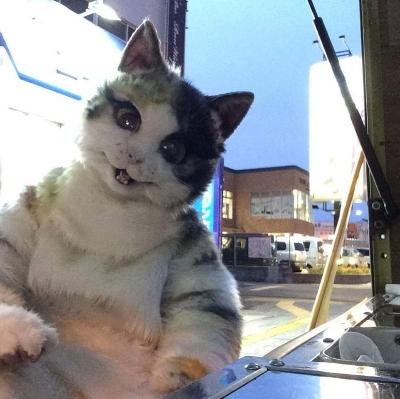 Art7wing : Penjual Kentang Panggang Yaki-imo Memakai Kostum Kucing Di Jepang